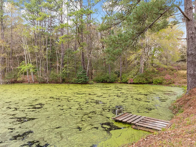 4136 Ashley River Rd — Photo 63