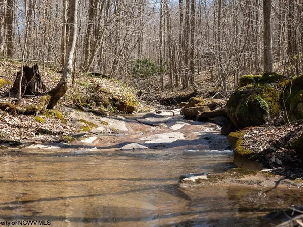 1 Fairfax Mine Rd, Kingwood, WV 26537