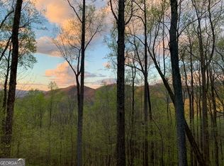 1069 Walnut Rdg, Ellijay, GA 30536