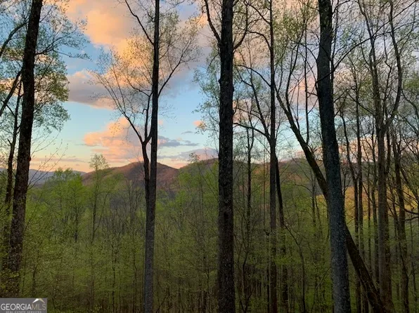 1069 Walnut Rdg, Ellijay, GA 30536