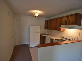 102 W Springfield St #2, Boston, MA 02118