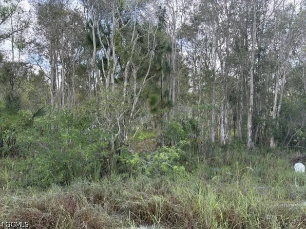 721 Bluebird Ave, Lehigh Acres, FL 33974