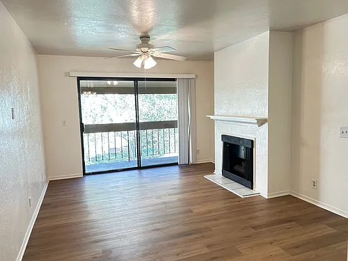 4305 Golden Oaks Ln Photo 1