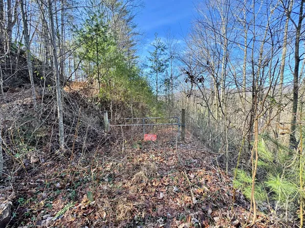 0 Long Branch Rd, Marble, NC 28905