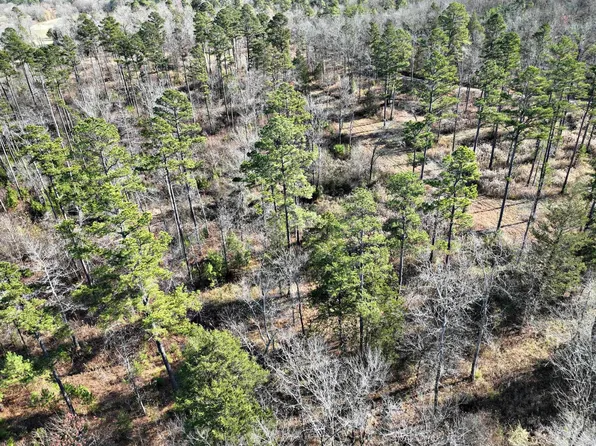 TRACT 2 Highway 8 E, Mena, AR 71953