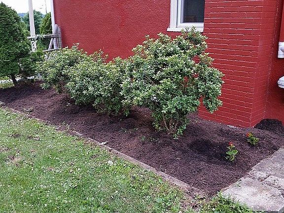 2nd image of 1317 Hilltop Rd