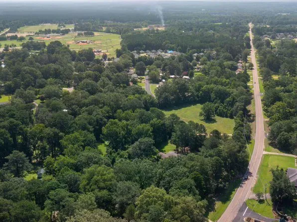 421 Louis Wilson Dr, Brandon, MS 39042