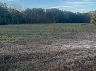 LOT 149 Miller Rd, Leesburg, GA 31763