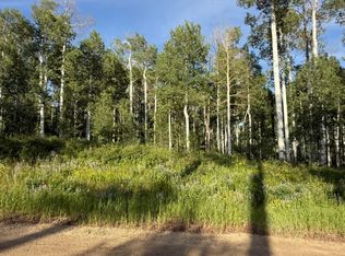 26320 Beaver Canyon Dr, Clark, CO 80428
