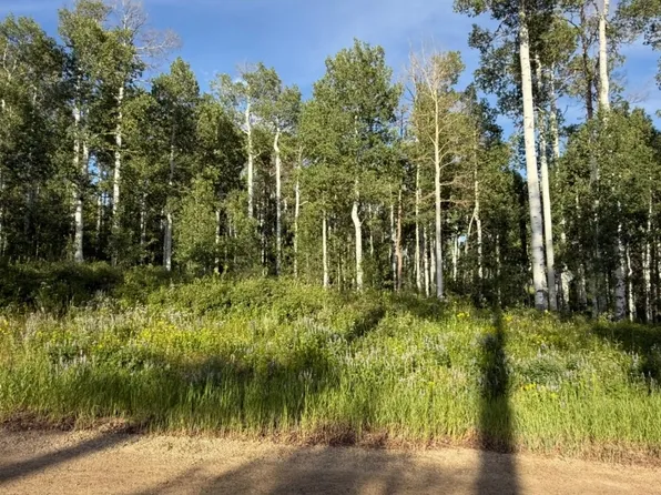 26320 Beaver Canyon Dr, Clark, CO 80428