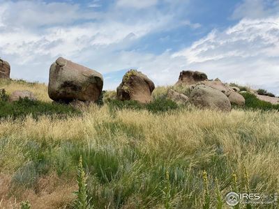 261 Bear Hollow Rd, Laporte, CO, 80535