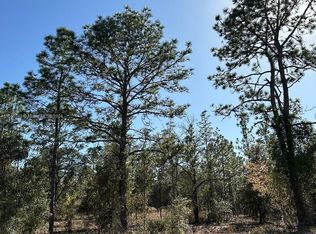 Undetermine Dunnelon, Dunnellon, FL 34431