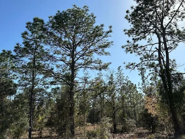 Undetermine Dunnelon, Dunnellon, FL 34431