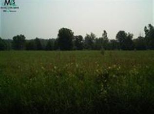 0 Cochrane PARCEL 1, Almont, MI 48003