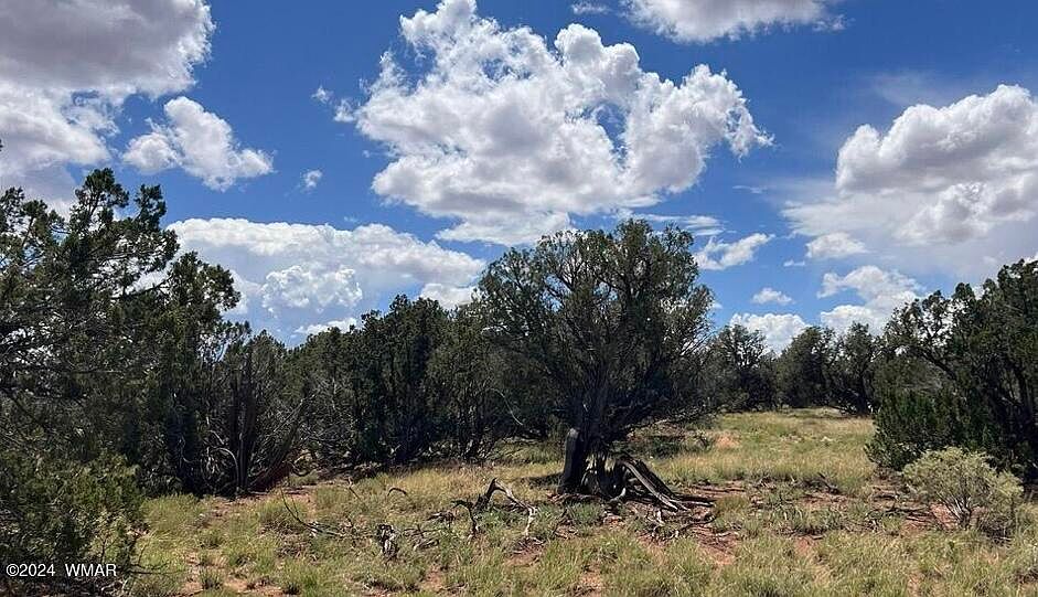 2nd image of 4062/4066 Apache Rd