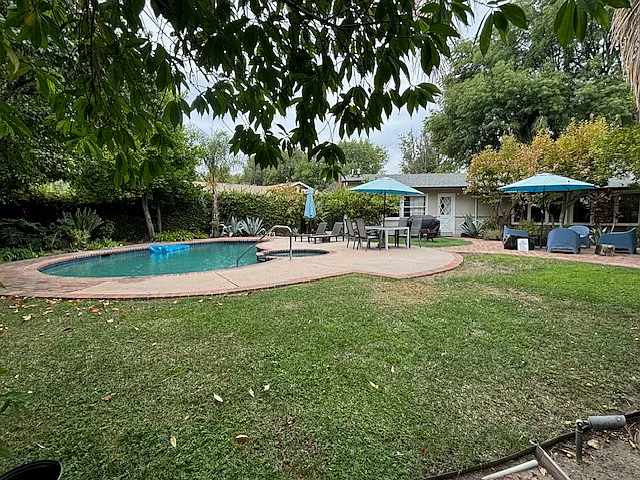 Lush pool area with BBQ and lounge. Plenty of fruit and palm trees. - 5553 Capistrano Ave