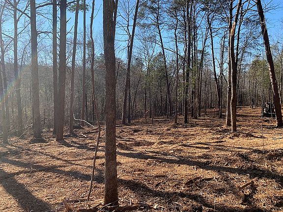 2nd image of 11204 Hilltop Loop