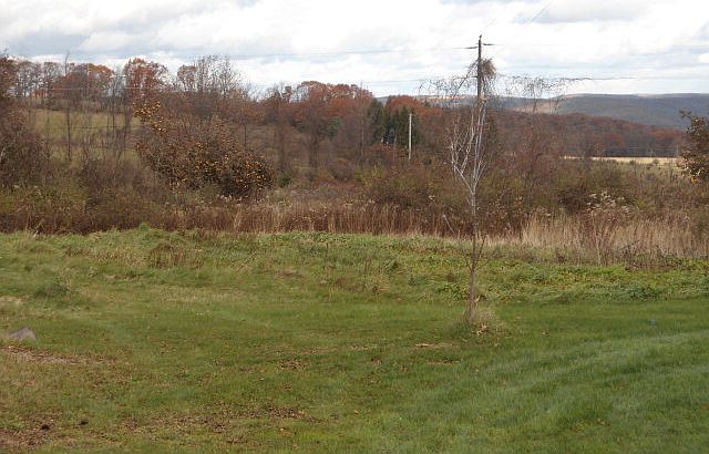 2nd image of 7295 County Route 12