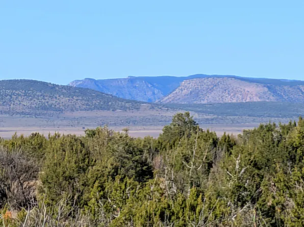 0 W Via Dolorosa Rd, Seligman, AZ 86337