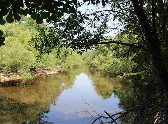 5th image of Old Bainbridge Road Aka Point #1