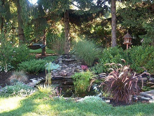 Water Fall Koi Pond
