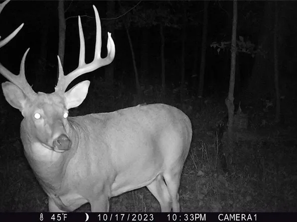 0 Union Grove Ave, Greenville, IL 62246