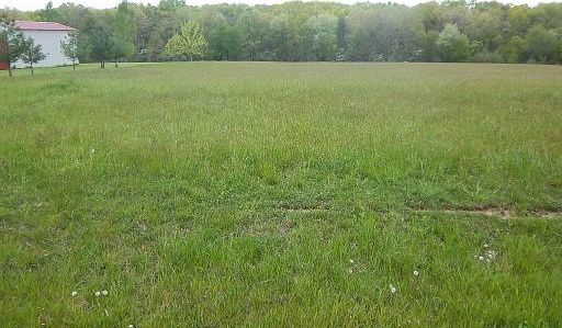 2nd image of Wistarbrook Dr