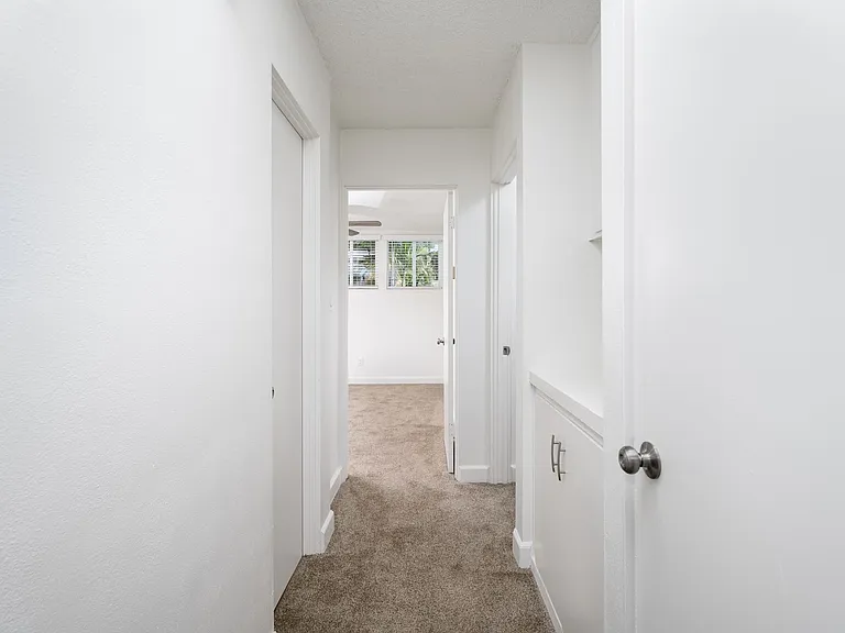 Antone Apartments — Photo 178