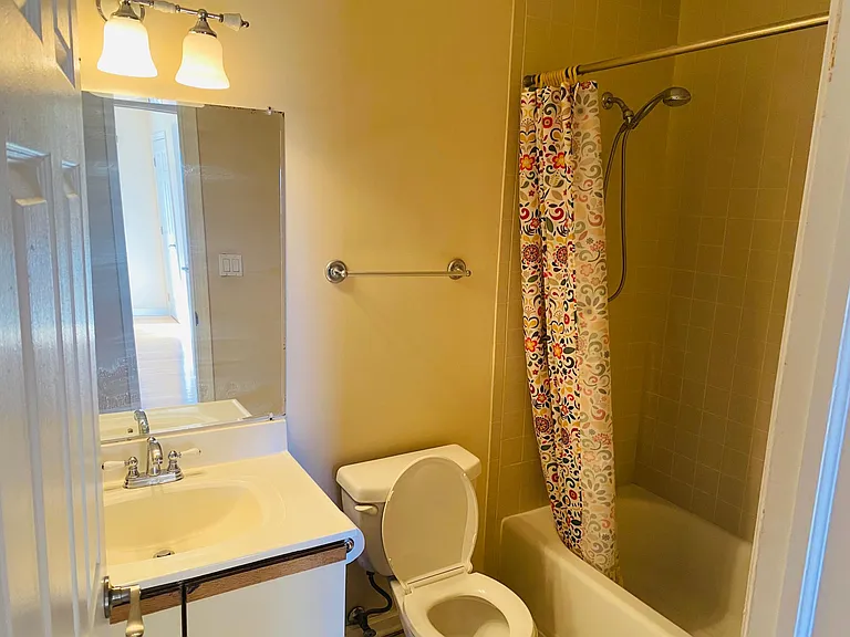 1st floor bathroom (full)