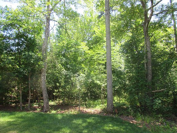 Luscious and private woods