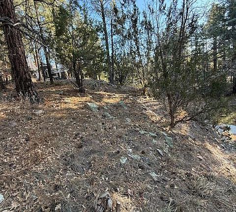 5th image of 2561 W Rogers Dr