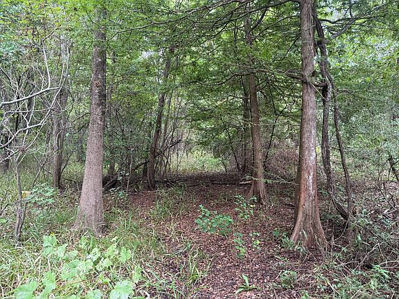 5th image of Jack Dwyer Rd