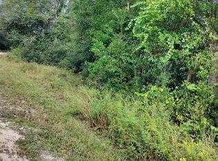 0 Harmony Dr, Dade City, FL 33523