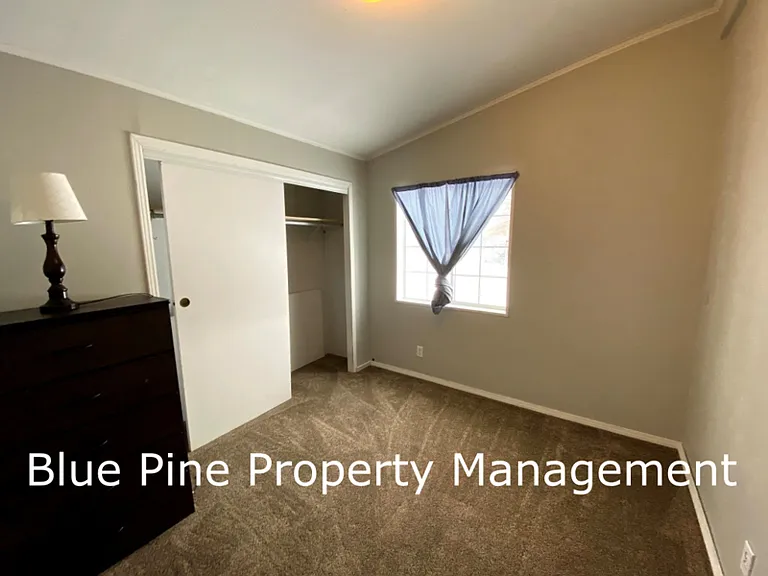 705 Eve Dr — Photo 6
