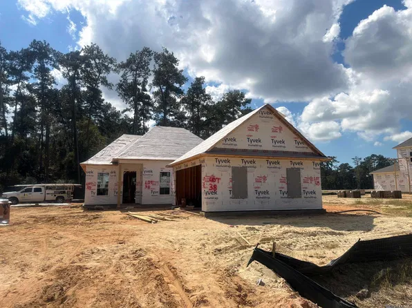 20733 Nature Walk Dr, Covington, LA 70433
