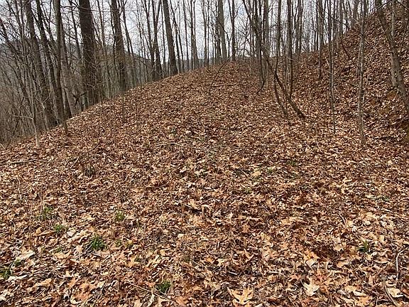 2nd image of Lt 29 Lower Glade Drive