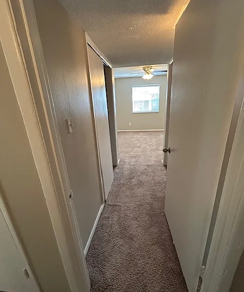 The Avery — Photo 11