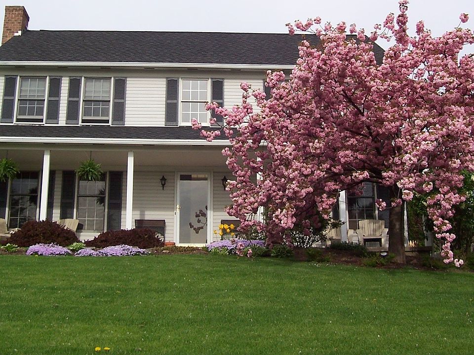 61 Winchester Dr