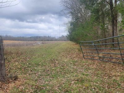 Albert Pike Rd, Royal, AR, 71968