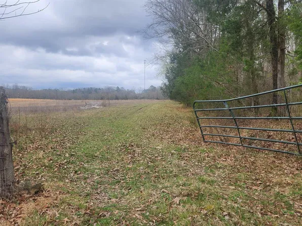 Albert Pike Rd, Royal, AR 71968