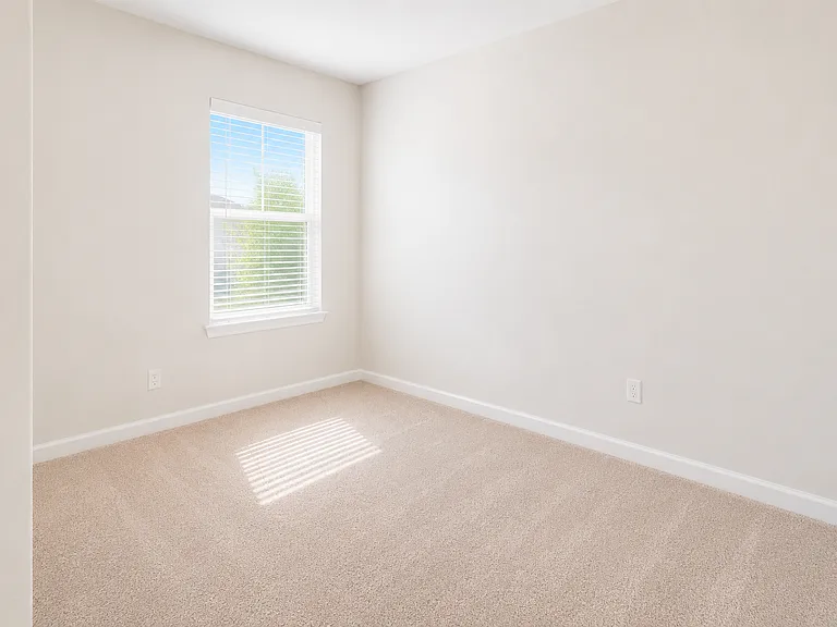 1536 Olive St — Photo 19