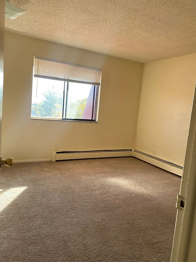 3 bed, 1.5 bath, 992 sqft, $4,800 — Photo 3