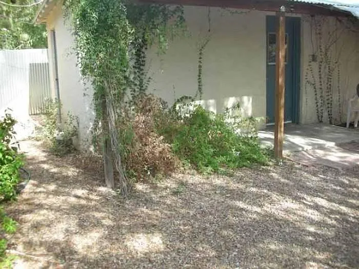 1 bed, 500 sqft, $875 — Photo 1