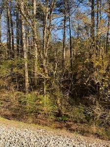 0 Highway 411 N, Crandall, GA, 30711