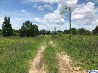 920 N Center Rd, Hartsville, SC 29550