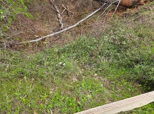 9860 Whiskey Slide Rd, Mountain Ranch, CA 95246