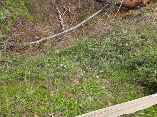 9860 Whiskey Slide Rd, Mountain Ranch, CA 95246