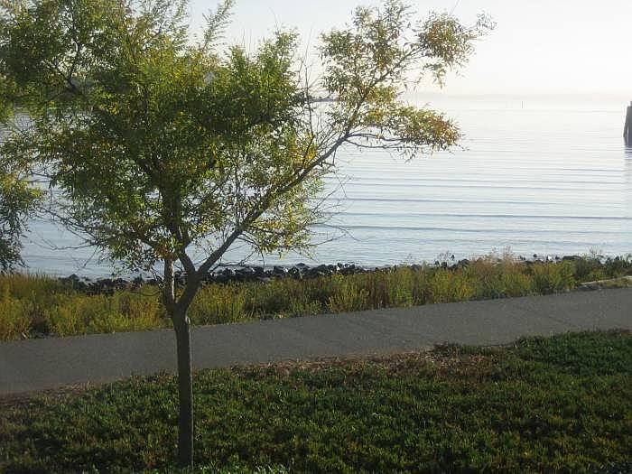 View from the Master br