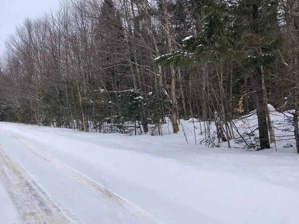 0 Walkerville Rd, North Bangor, NY 12966