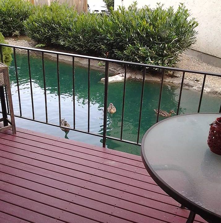 Deck View